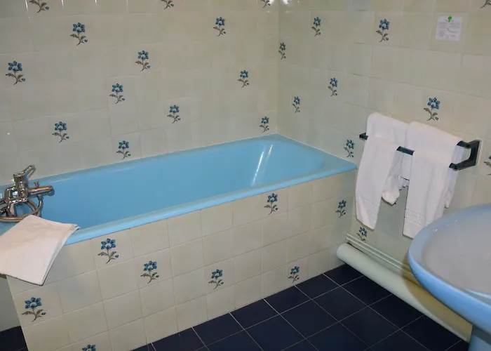 Hotel Au Chapon Fin Poitiers